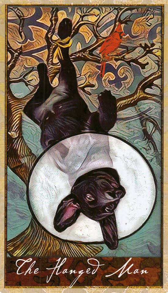 Wise Dog Tarot
